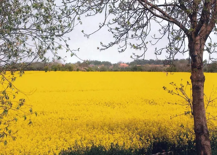 شقة Schattschneider Burgtiefe auf Fehmarn